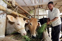 Bên lề Kỳ họp thứ 9, Quốc hội khóa XIV: Phát huy vai trò tự lực vươn lên của đồng bào dân tộc thiểu số nghèo