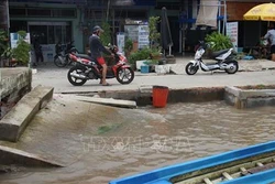 Cà Mau ban bố tình huống khẩn cấp sạt lở tại nhiều khu vực bờ biển Đông