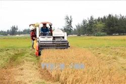 Đột phá sau 10 năm thực hiện nghị quyết về “tam nông” ở Quảng Trị