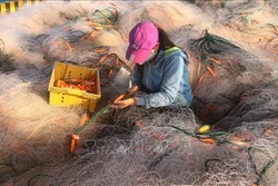 Nghệ An tháo gỡ khó khăn trong thực hiện chương trình giảm nghèo bền vững
