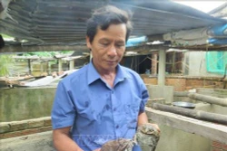  Mô hình nuôi kết hợp ếch và cá làm giàu của anh Cao Văn Phương