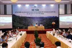 Năm 2020 sẽ có 4 tỉnh thí điểm chi trả dịch vụ hấp thụ và lưu trữ các bon của rừng