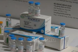 Cảnh báo nhiều dịch bệnh gia tăng do nắng nóng kéo dài
