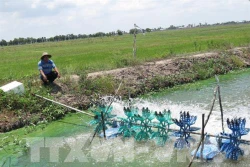 Đồng bằng sông Cửu Long sắp đối mặt đợt hạn, mặn rất nghiêm trọng đầu năm 2020