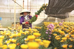 Điểm sáng trong phát triển kinh tế - xã hội vùng Tây Nguyên