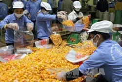 Công nghiệp chế biến thực phẩm Việt Nam có nhiều dư địa phát triển