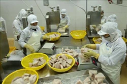 Hội thảo "Phát triển thị trường tiêu thụ thuỷ sản nội địa"