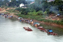 Phát triển nuôi cá đặc sản trên sông Lô, sông Gâm