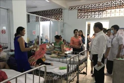 Thành phố Hồ Chí Minh: Kiểm tra công tác điều trị bệnh tay chân miệng 