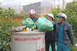 Lâm Đồng: Làm sạch hồ đầu nguồn Đankia – Suối Vàng nhân ngày Môi trường thế giới 5/6