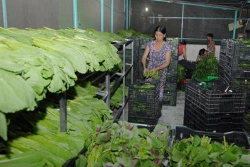 Thành phố Hồ Chí Minh hỗ trợ vốn ưu đãi cho hơn 1,3 triệu hộ nghèo