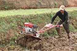 Huyện Tân Uyên phấn đấu về đích huyện nông thôn mới vào năm 2020