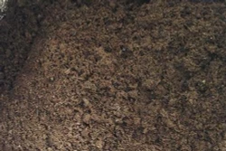 Các phương pháp ủ phân chuồng