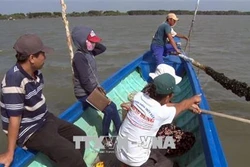 Lựa chọn ngành hàng chủ lực thúc đẩy thành lập hợp tác xã chuyên ngành