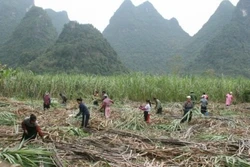 Tuyên truyền miệng - kênh truyền tải thông tin hiệu quả ở Phục Hòa