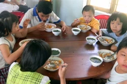 Gia Lai: giúp đồng bào nhiễm chất độc da cam ổn định cuộc sống