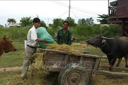 Hiệu quả phong trào "Một đảng viên giúp đỡ một hộ nghèo" ở Gia Lai