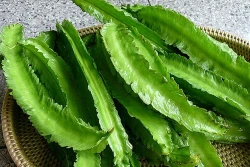 Lợi ích từ đậu rồng