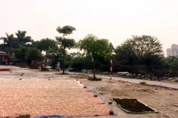 Nan giải kiểm soát chất lượng dược liệu