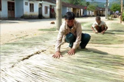 Cây đót giúp đồng bào vùng cao Trà Bồng tăng thu nhập 