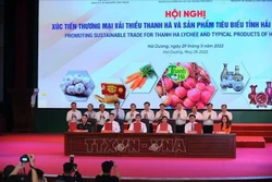 Lễ ký thỏa thuận hợp tác hỗ trợ tiêu thụ vải thiều và sản phẩm tiêu biểu của tỉnh Hải Dương với các sàn thương mại điện tử. Ảnh: TTXVN phát