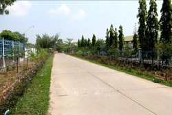 Những con đường nông thôn mới nâng cao khang trang trên địa bàn huyện Đức Linh. Ảnh: Nguyễn Thanh - TTXVN
