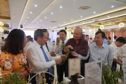 Các đại biểu tham quan một số loại cây dược liệu và sản phẩm từ dược liệu. Ảnh: Thanh Thủy-TTXVN