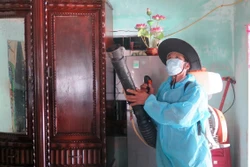 Gần 63.000 người mắc sốt xuất huyết, Bộ Y tế lập 7 đoàn kiểm tra tại các tỉnh, thành phố trọng điểm