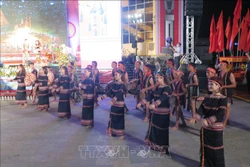 Tiết mục trình diễn nghệ thuật của các nghệ nhân, nghệ sĩ tham gia Liên hoan. Ảnh: Dư Toán - TTXVN