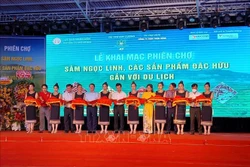 Khai mạc phiên chợ sâm Ngọc Linh lần đầu tiên tại Kon Tum