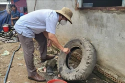 Đắk Lắk cần nâng cao khả năng phòng, chống dịch sốt xuất huyết