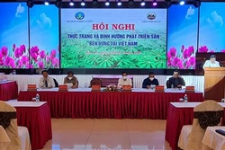 Định hướng phát triển sắn tại Việt Nam