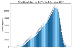 Bộ Giáo dục và Đào tạo công bố phổ điểm 9 môn thi tốt nghiệp Trung học Phổ thông năm 2022