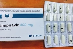 Bộ Y tế cấp phép 3 loại thuốc chứa Molnupiravir sản xuất trong nước