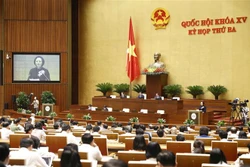Kỳ họp thứ 3, Quốc hội khóa XV: Gìn giữ các giá trị văn hóa truyền thống tốt đẹp của gia đình, dân tộc