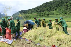 Những việc làm thiết thực của tình quân dân nơi biên giới càng bền chặt. Ảnh: Nguyễn Oanh-TTXVN