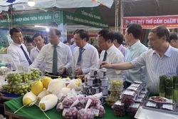 Lãnh đạo Bộ Công Thương và tỉnh Ninh Thuận tham quan gian hàng sản phẩm nông nghiệp các tỉnh triển lãm tại hội chợ. Ảnh: Công Thử - TTXVN
