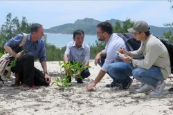 Các chuyên gia phát triển rừng của Cộng hòa Liên bang Đức và tỉnh Phú Yên khảo sát tại khu vực rừng phòng hộ ven biển. Ảnh: Xuân Triệu - TTXVN