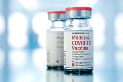 Bộ Y tế hướng dẫn tiêm mũi 2 vaccine Moderna với các vaccine phòng COVID-19 khác