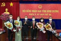 Ông Nguyễn Văn Dành được bầu làm Phó Chủ tịch UBND tỉnh Bình Dương