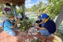 “Xứ Dừa” Bến Tre mở cửa đón khách du lịch nội địa