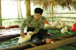 Hiệu quả từ mô hình giảm nghèo tại Thái Nguyên