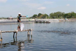 Phát triển bền vững ngành thủy sản Việt Nam (Bài 1)