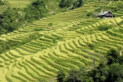 Các tour du lịch ngắn ngày thu hút du khách dịp nghỉ Tết dương lịch 2018