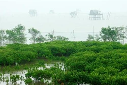 Nam Định: Khai thác giá trị đặc thù của địa phương để phát triển du lịch