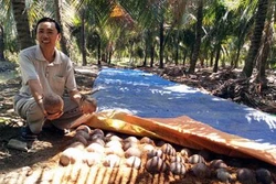 Thành công từ mô hình chuyển đổi sản xuất thích ứng biến đổi khí hậu