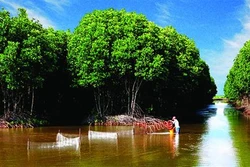 Hỗ trợ nông dân Trà Vinh sản xuất thích ứng biến đổi khí hậu