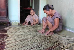 Giữ nghề đan bao đệm bàng ở Đức Huệ