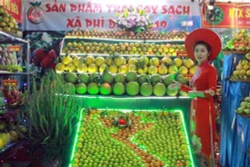Khai mạc Hội chợ cam, bưởi và các sản phẩm đặc trưng Lục Ngạn