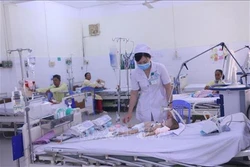 Bộ Y tế sửa đổi hướng dẫn chẩn đoán, điều trị bệnh sốt xuất huyết